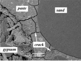 SEM image of cracking pattern in concrete subjected to ISA