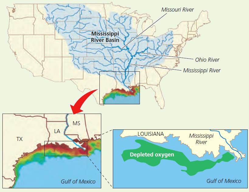 Oxygen Depletion in the Northern Gulf of Mexico