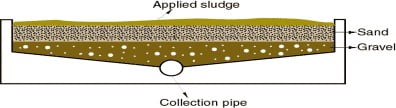 Sludge Drying Beds