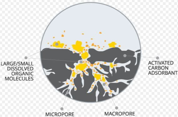 Carbon Adsorption