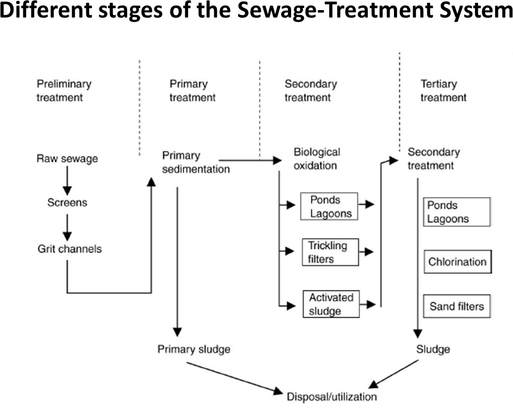 SLUDGE TREATMENT