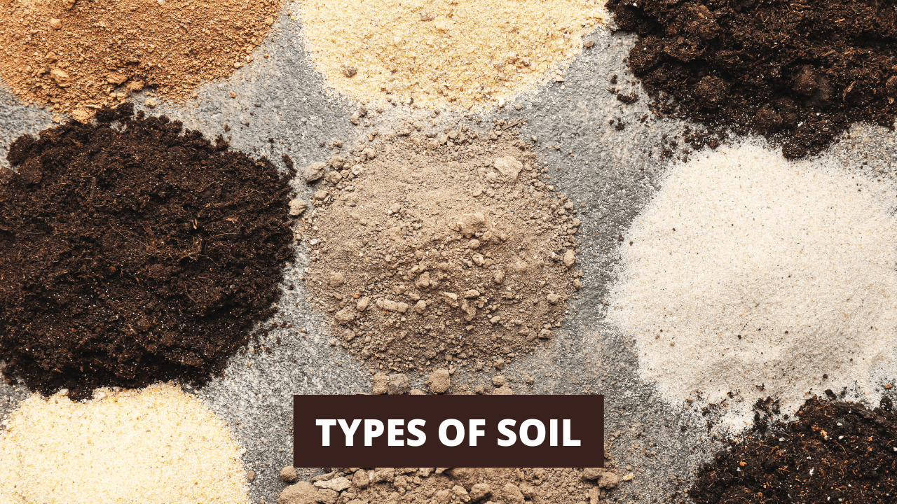 Types of Soil