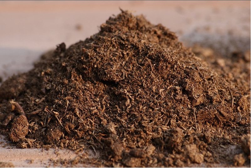 Peat Soils