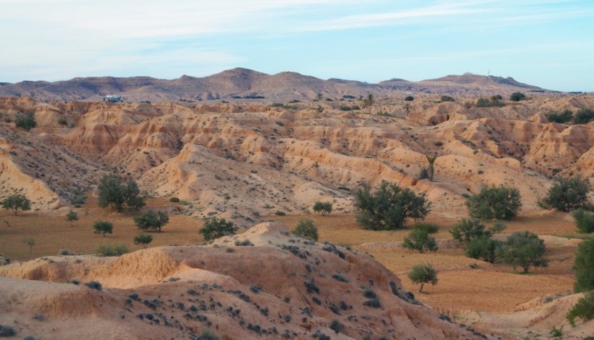 Aeolian Soils