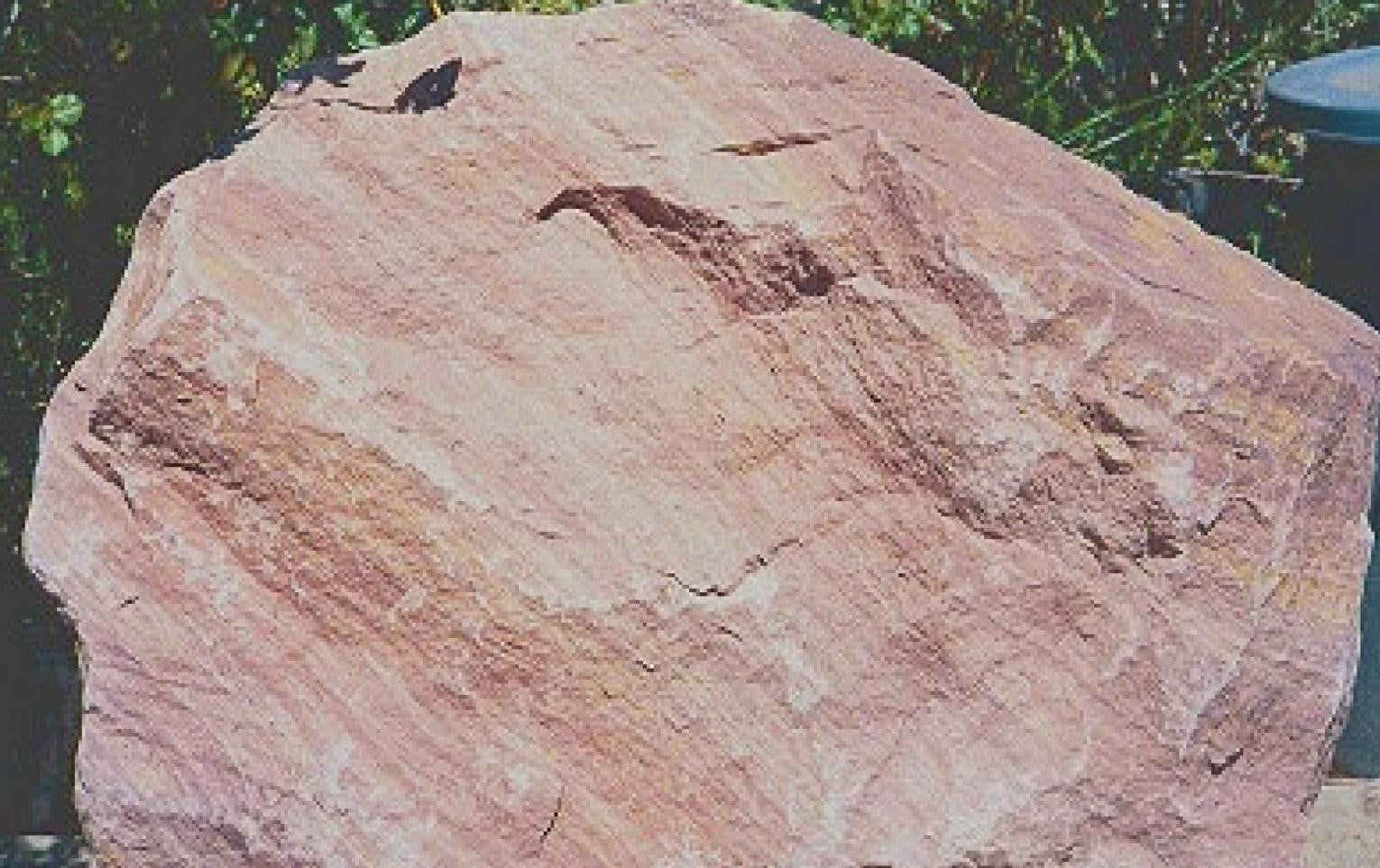 A sandstone formation shows the bedding planes.