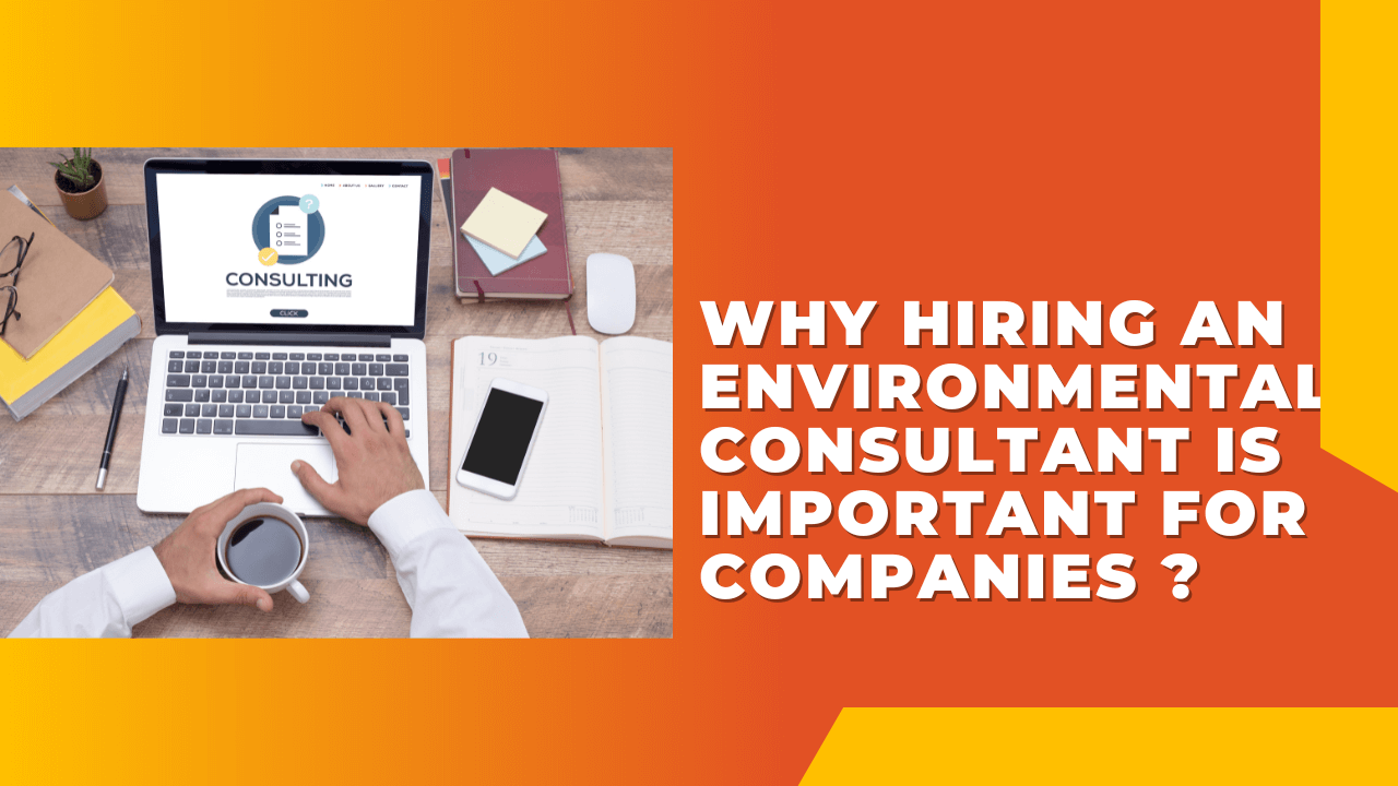 Why Hiring an Environmental Consultant is Important for Companies?