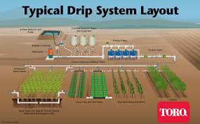 drip irrigation