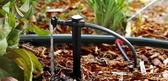 drip irrigation