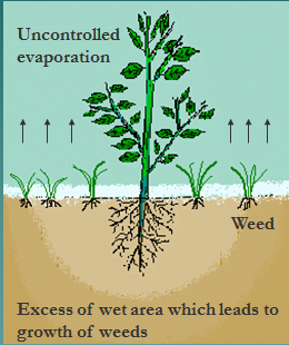 Sub-Surface Irrigation Methods