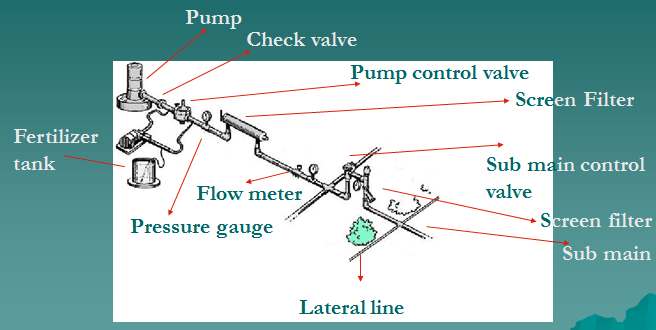 drip irrigation