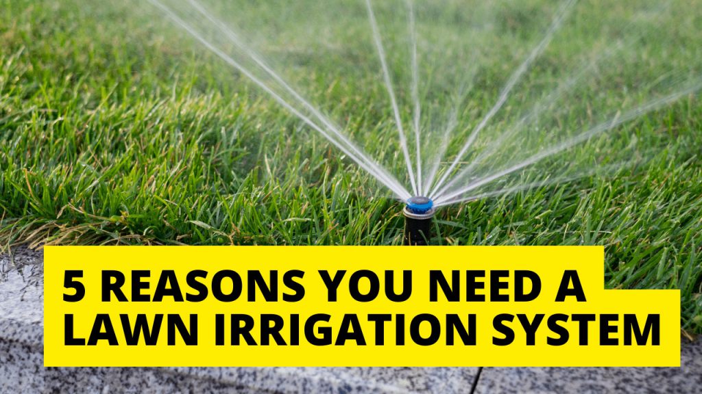 5 Reasons You Need a Lawn Irrigation System Construction How