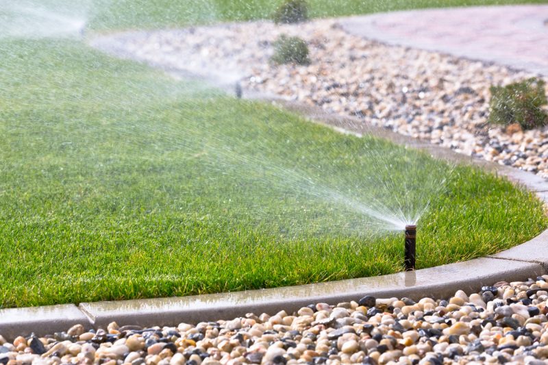 5 Reasons You Need a Lawn Irrigation System