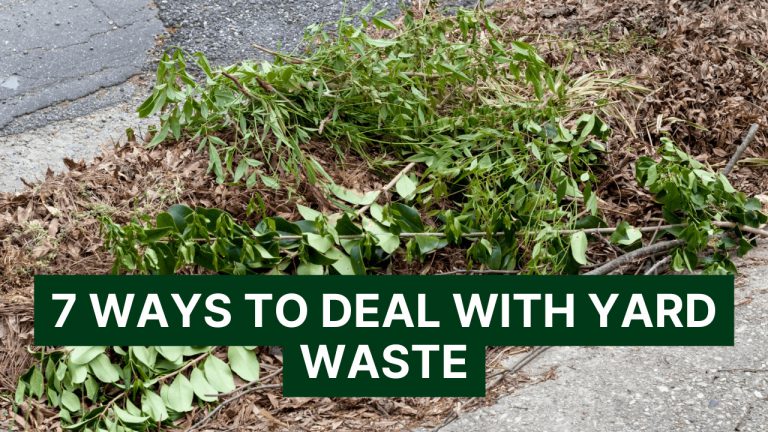 7 Ways To Deal With Yard Waste | Construction How