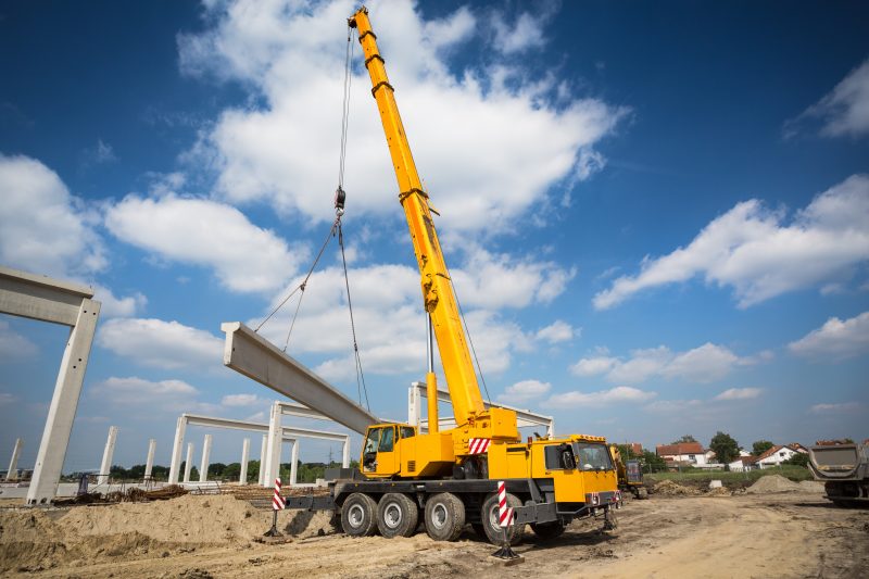 Popular Cranes and their benefits