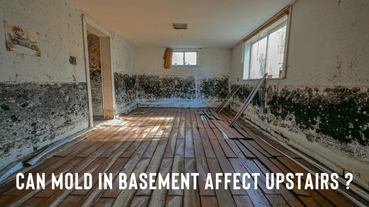 Can Mold In Basement Affect Upstairs?