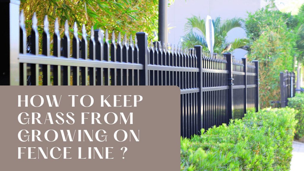 How To Keep Grass From Growing On Fence Line Construction How