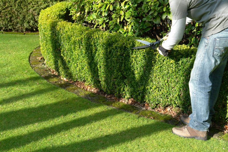 5 Reasons You Should Hire Gardening and Landscaping Services