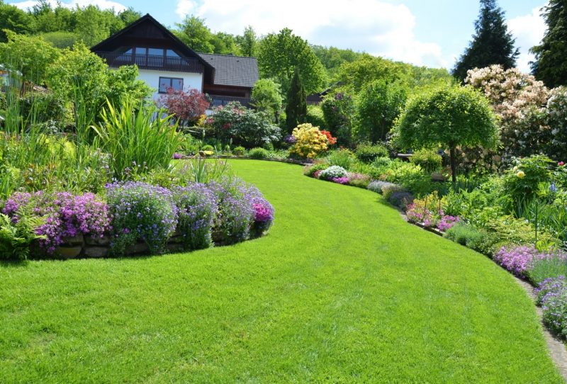 Hiring Lawn Maintenance Services