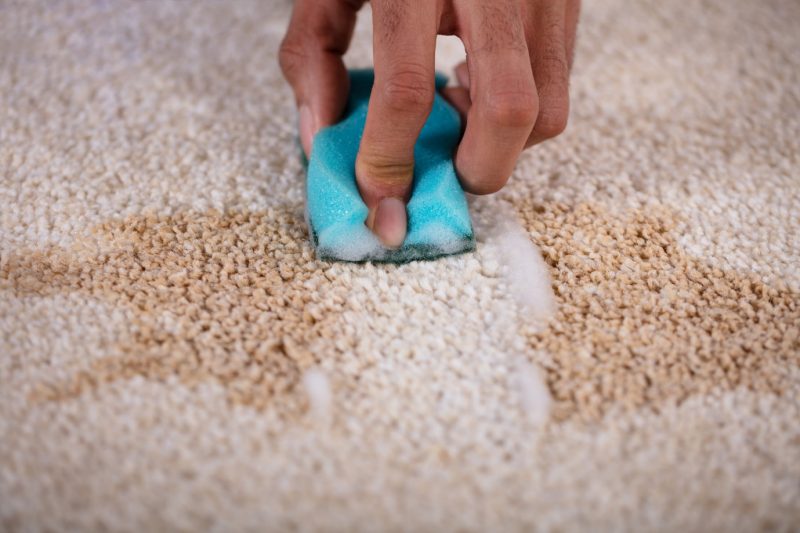 coffee stains out of carpet Out of a Carpet