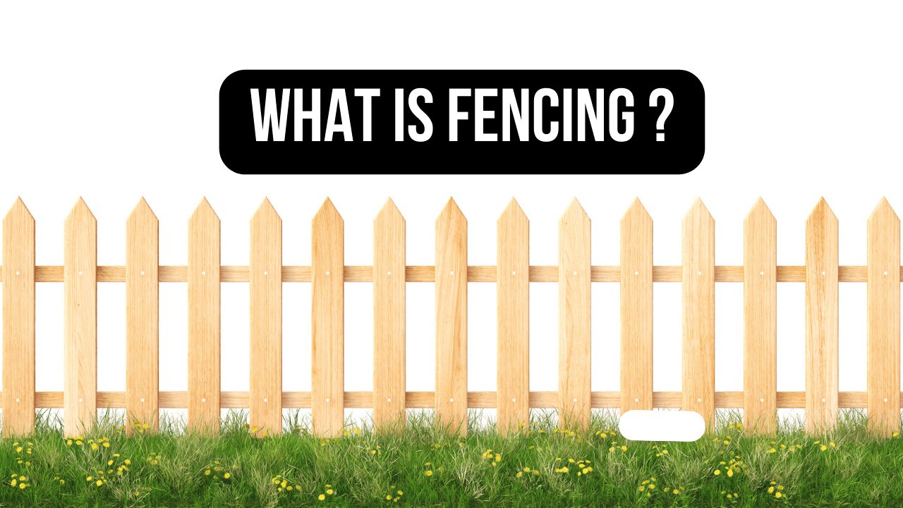 What Is Fencing?