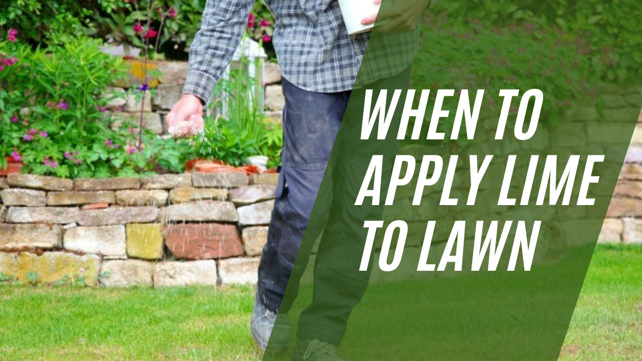 When To Apply Lime To Lawn