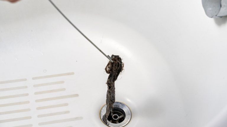 How To Get Rid Of Black Worms In Bathroom? - Construction How