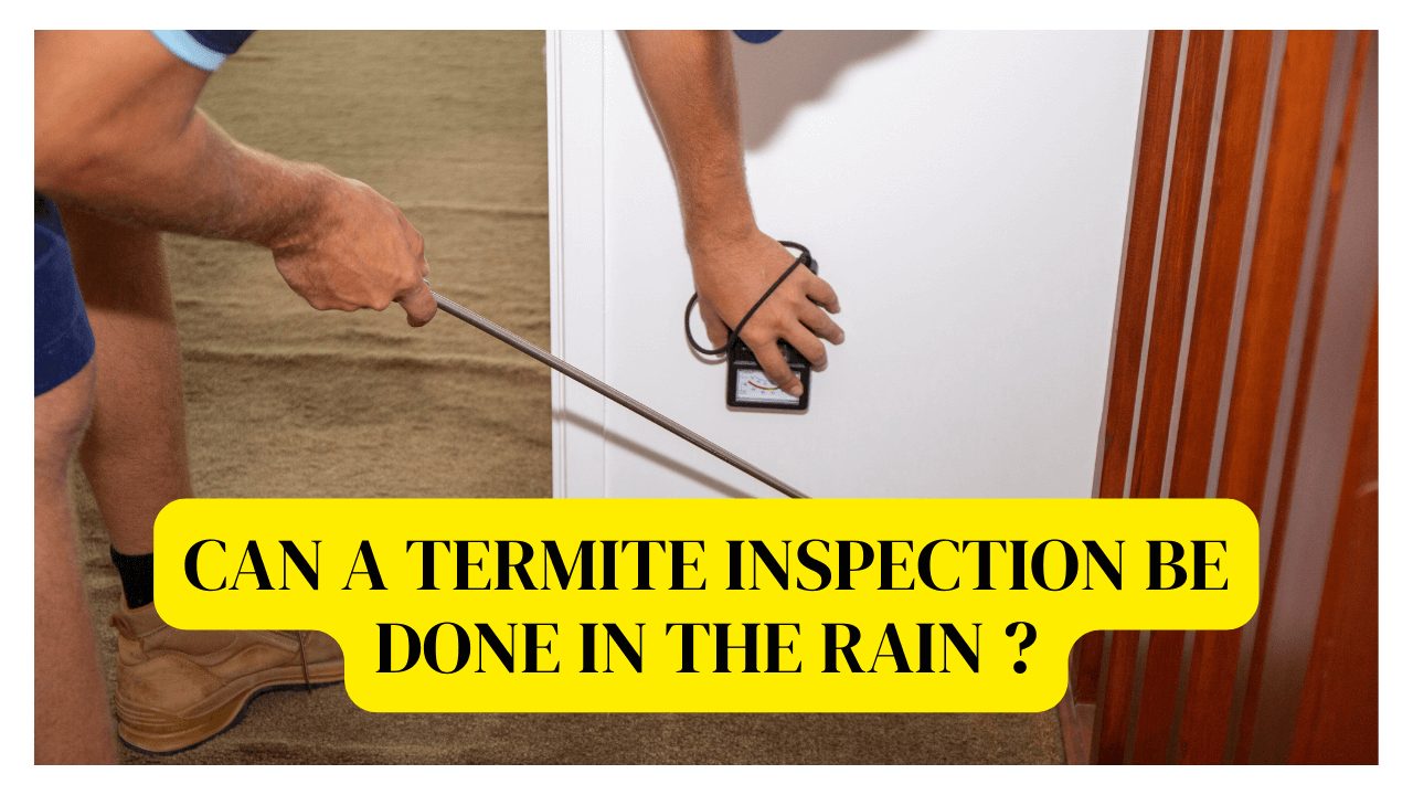 Can A Termite Inspection Be Done In The Rain