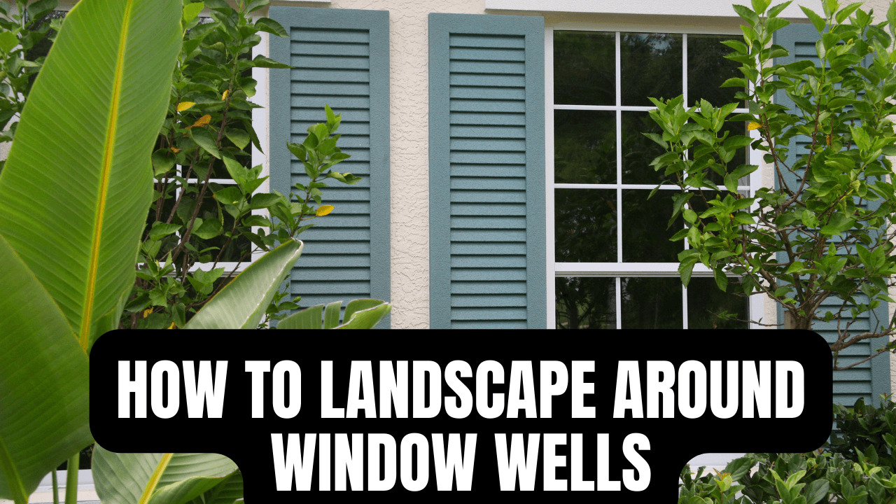 How To Landscape Around Window Wells