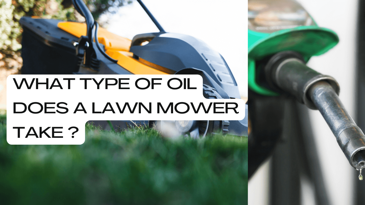 What Type Of Oil Does A Lawn Mower Take?