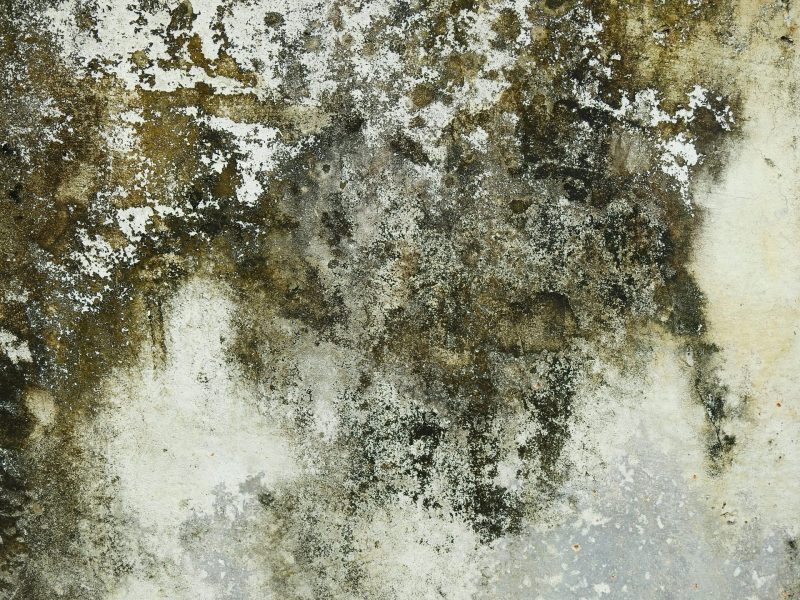 Dry Wet Materials On Wall