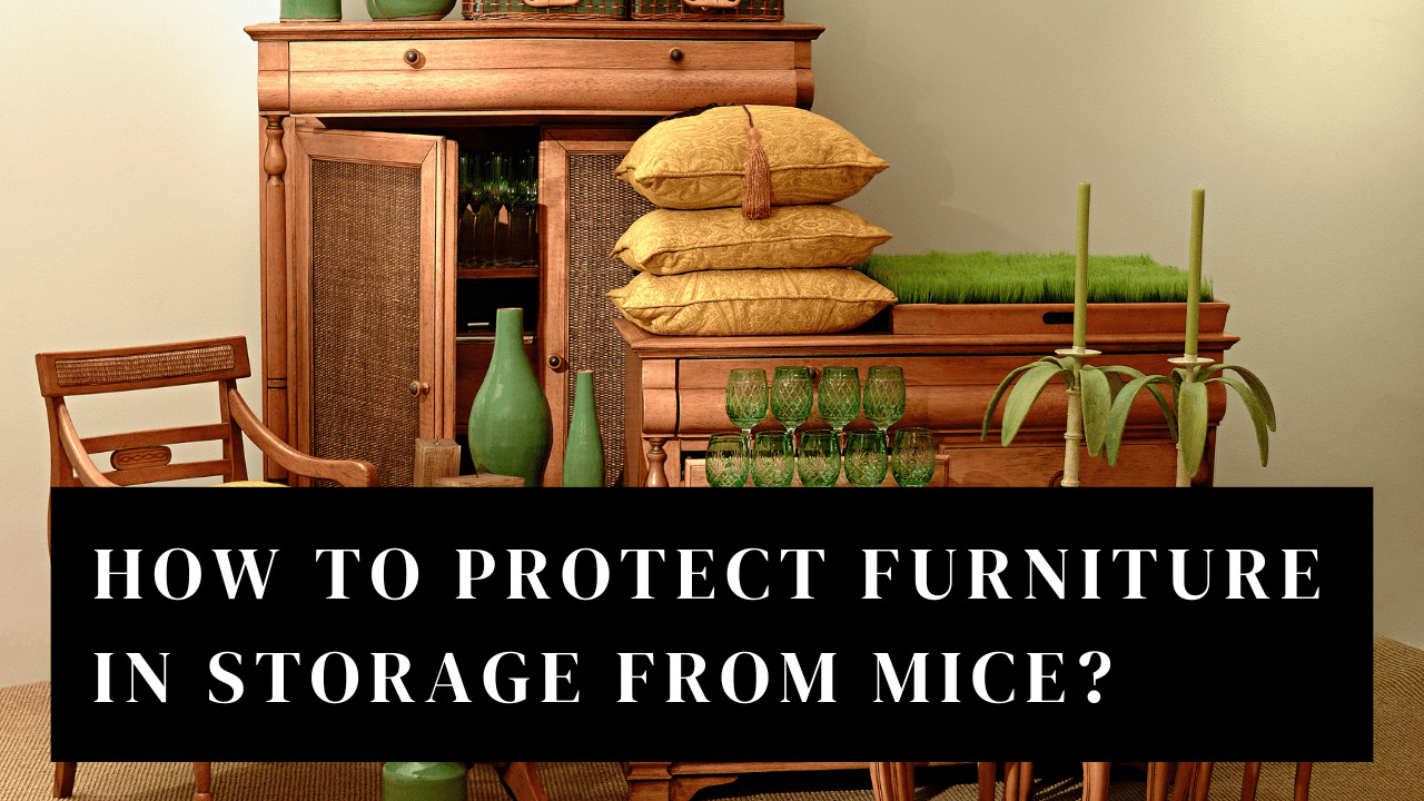 How To Protect Furniture In Storage From Mice
