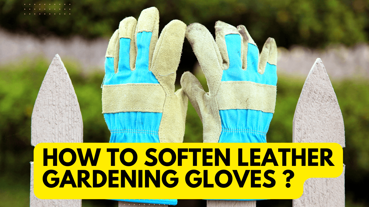 How To Soften Leather Gardening Gloves