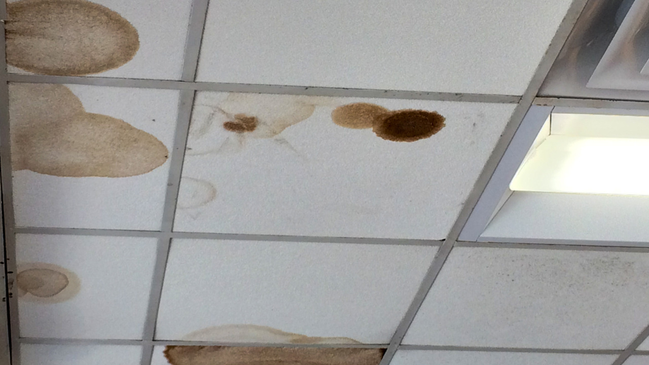  Are Black Spots On The Ceiling Bad For Human Health