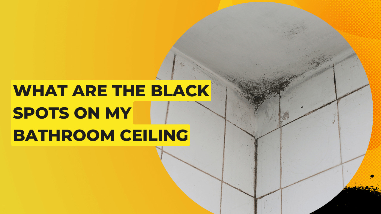 What Are The Black Spots On My Bathroom CeilingWhat Are The Black Spots On My Bathroom Ceiling