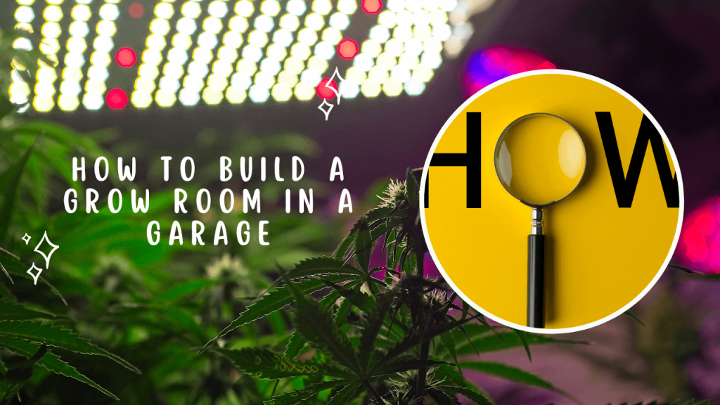How To Build A Grow Room In A Garage Construction How