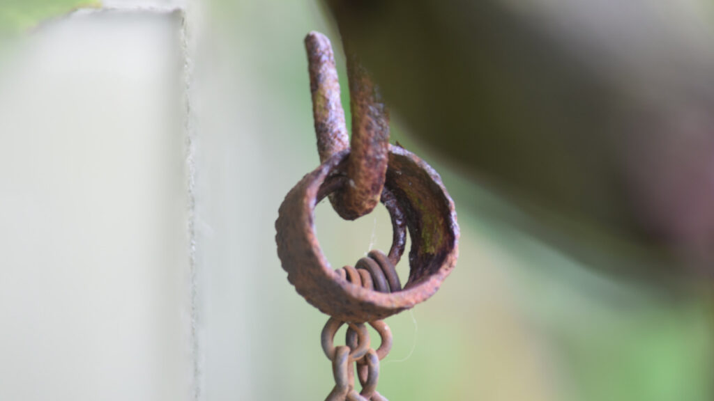 Side-Hooks garden