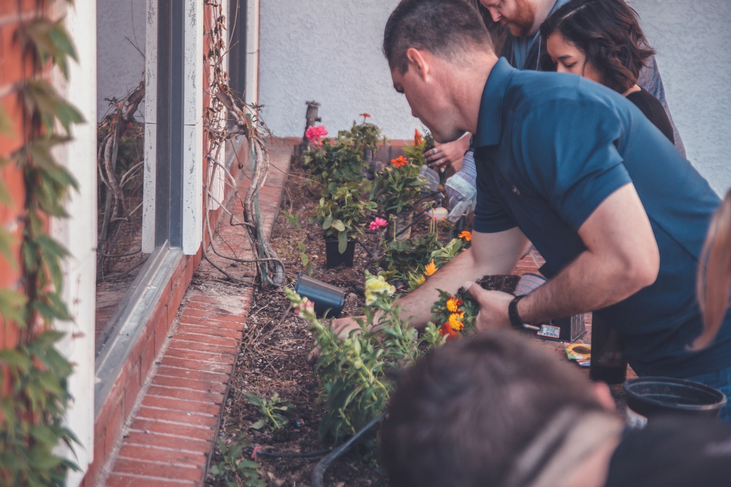 People are working in a garden 