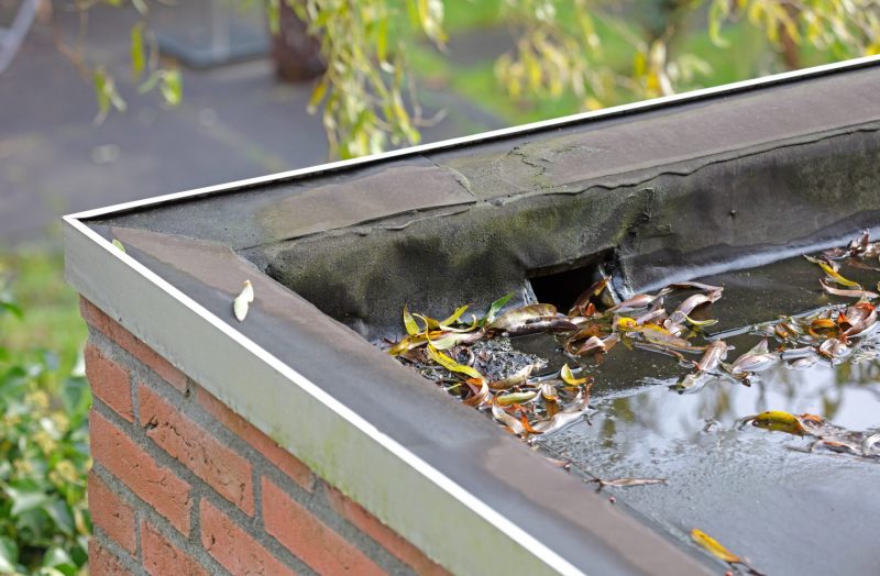  Drain System On Flat Roof is visible