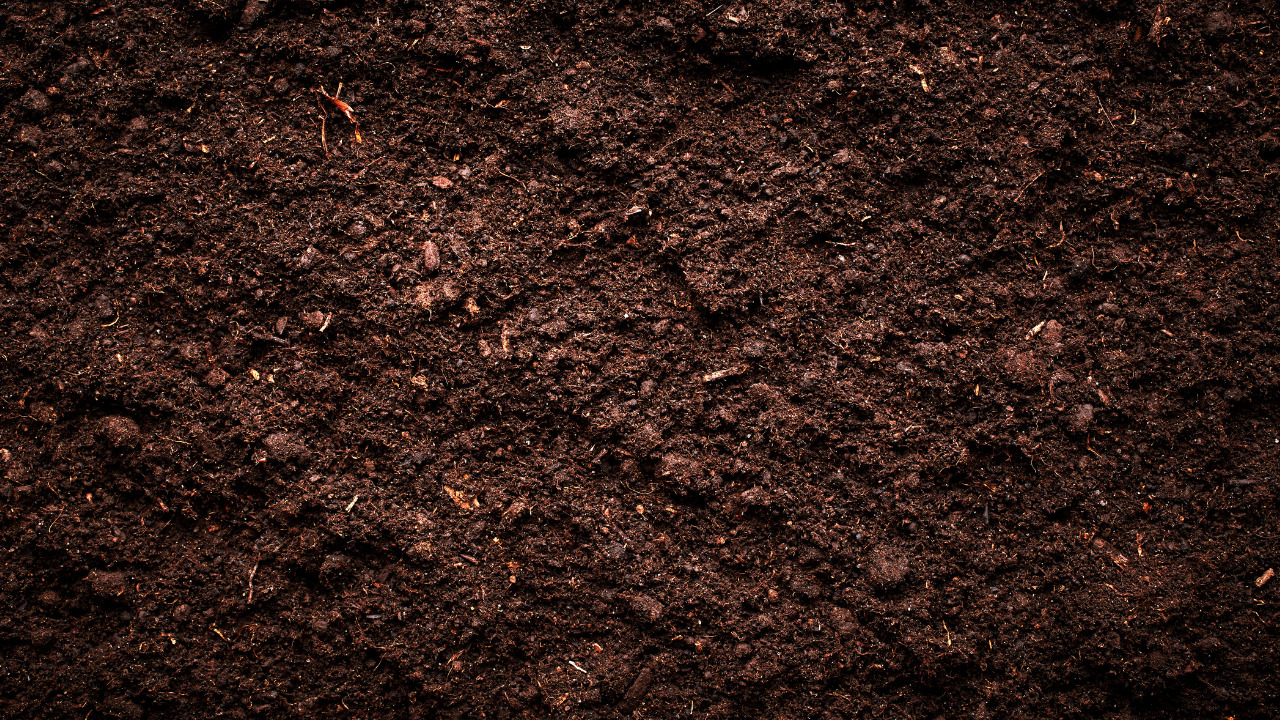  Grade The Soil.