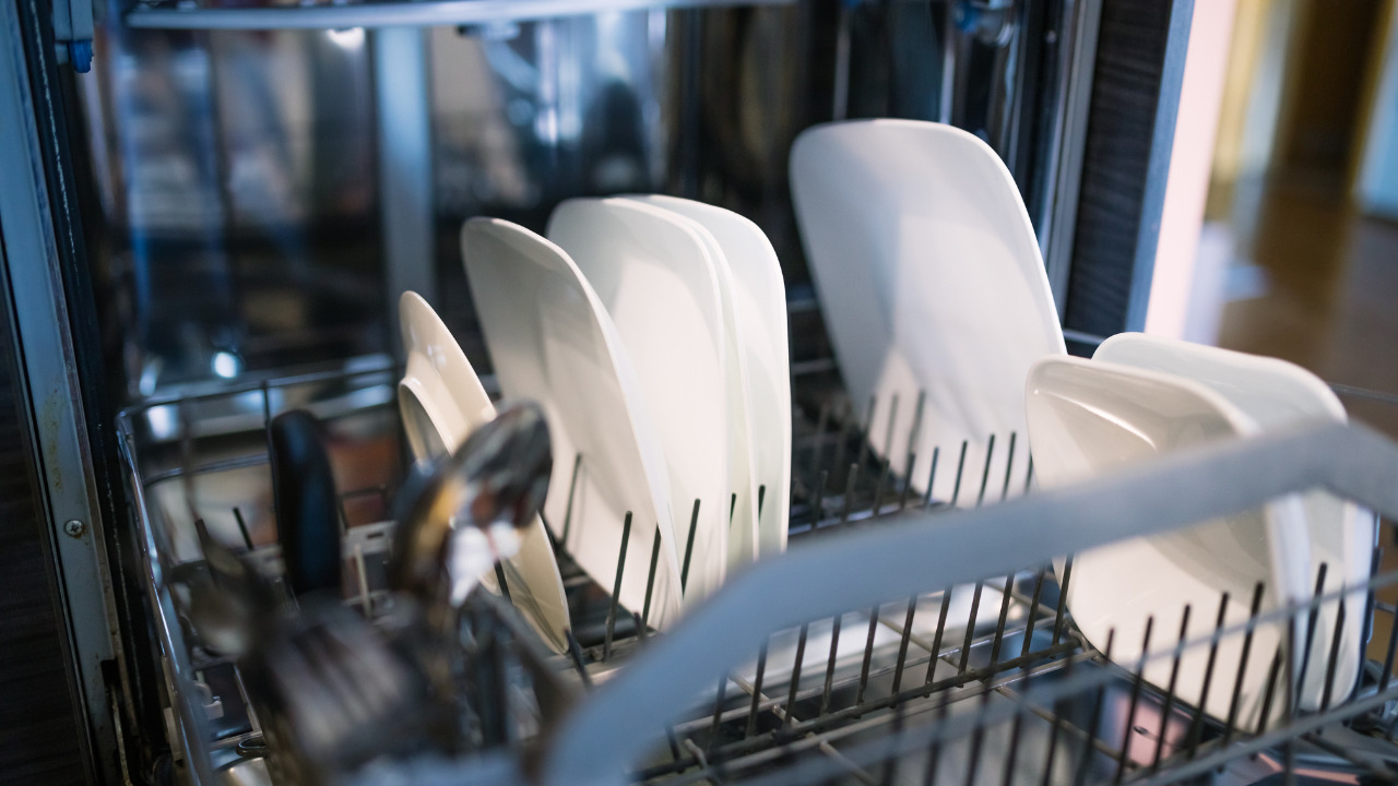 Dishwasher Safety