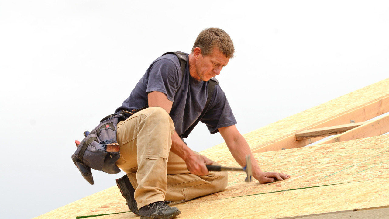  Install Plywood Sheets.