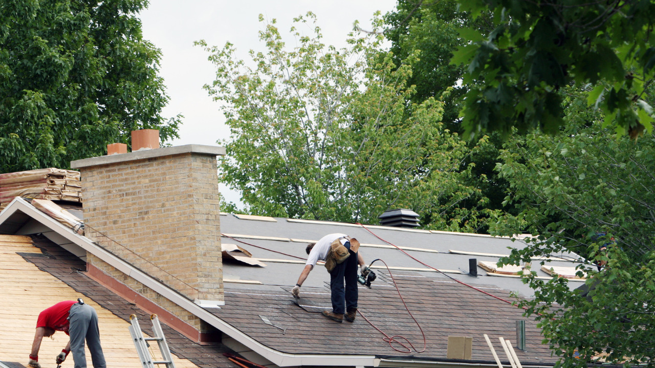 The Best Type Of Plywood For Roofing