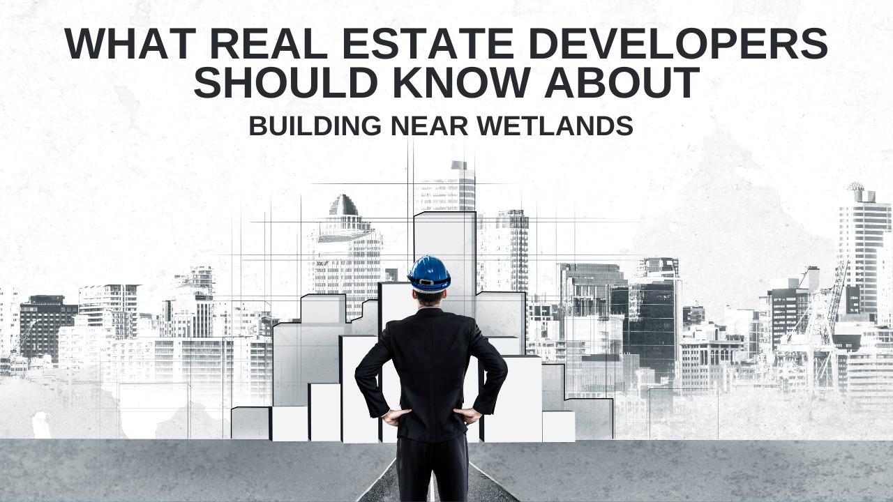 Real Estate Developers Should Know About Building Near Wetlands