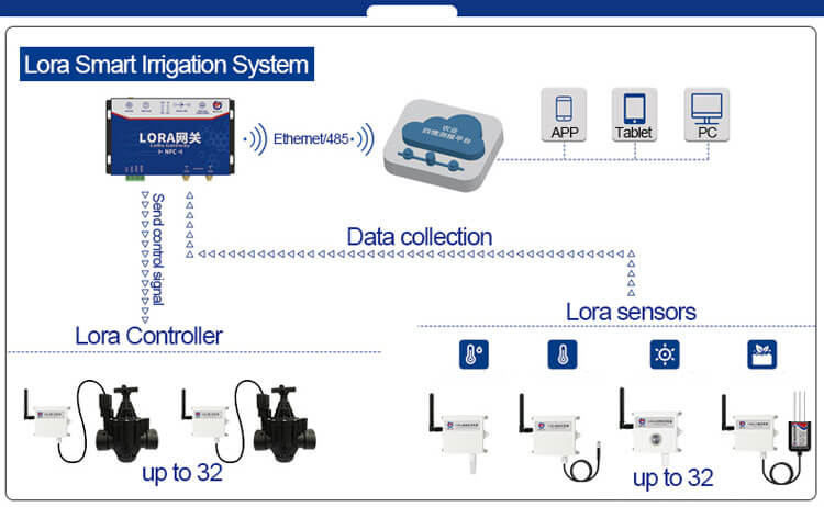 Applications of Lora Temperature Sensor in diagram