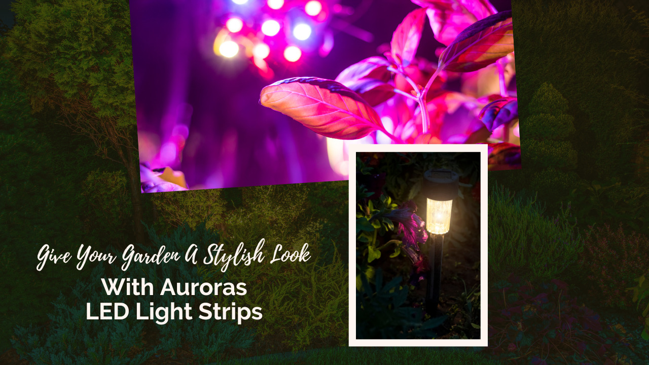 Give Your Garden A Stylish Look With Auroras LED Light Strips