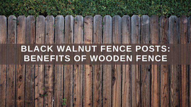 Black Walnut Fence Posts: Benefits Of Wooden Fence - Construction How