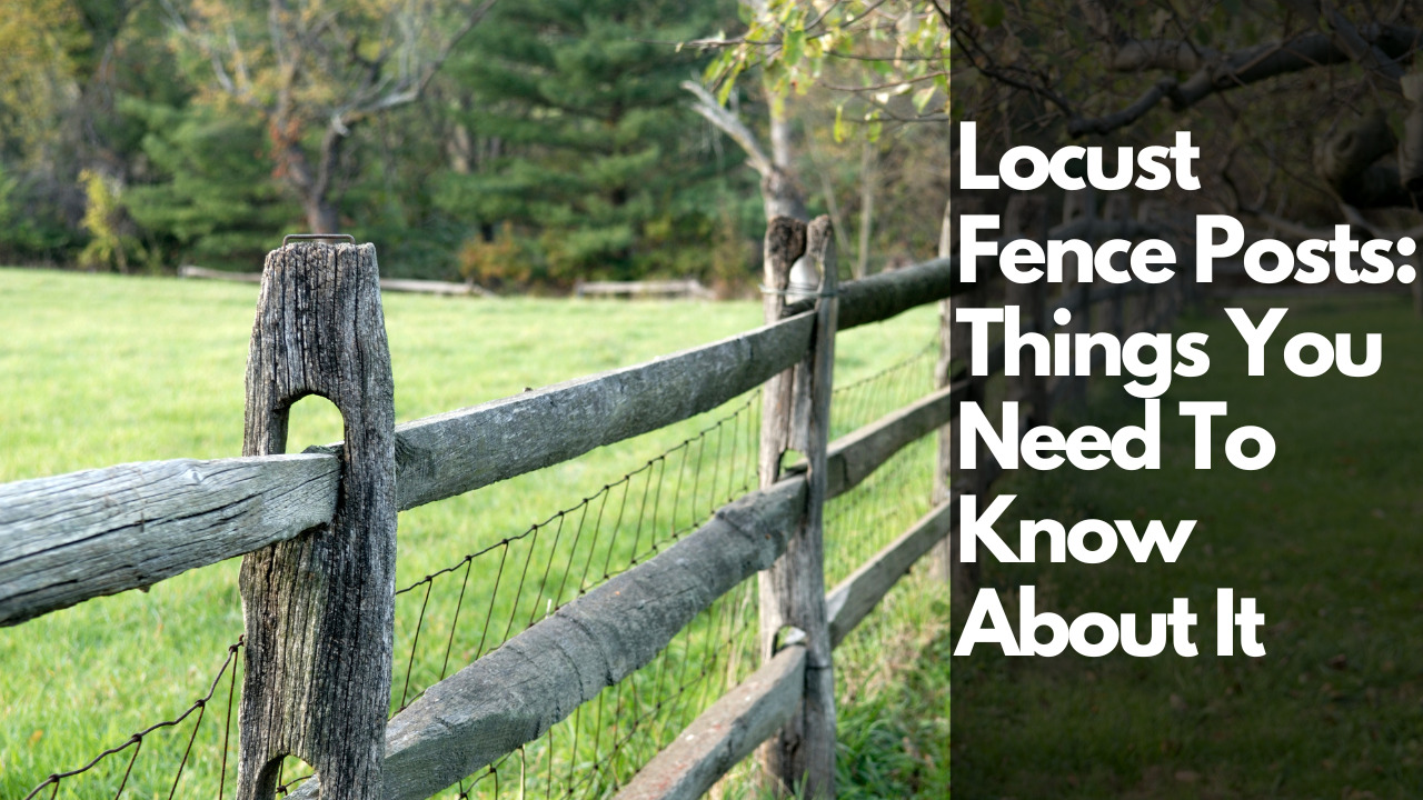 Locust Fence Posts: Things You Need To Know About It