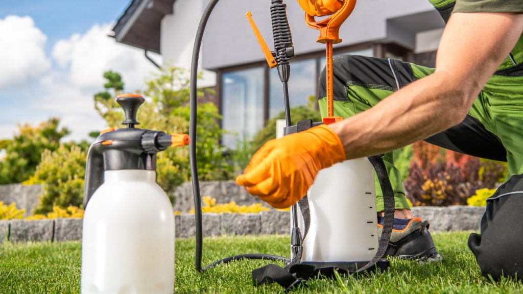 How To Get Rid Of Nostoc On Gravel Driveway - Construction How