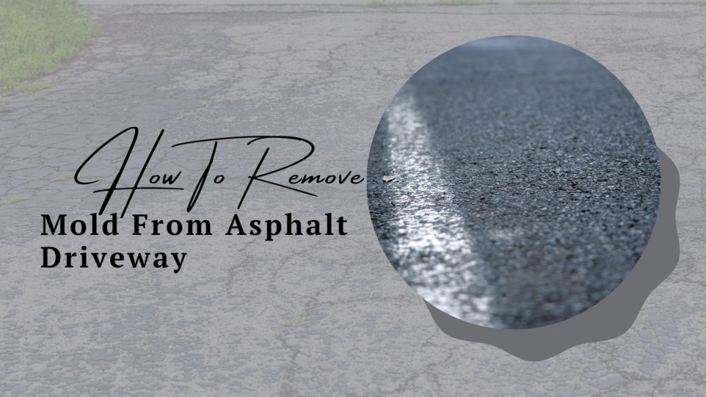 how-to-remove-mold-from-asphalt-driveway-construction-how