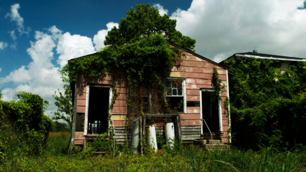 Shotgun house